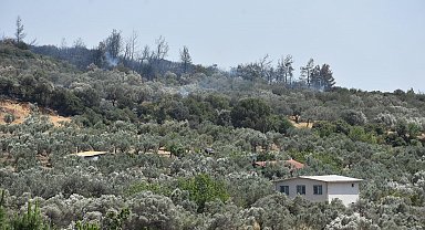 İzmir'de orman yangını; 4 gözaltı
