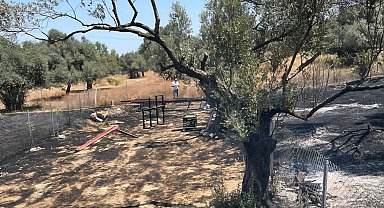 İzmir'de orman yangını; 4 gözaltı