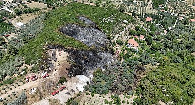 İzmir'de orman yangını çıktı