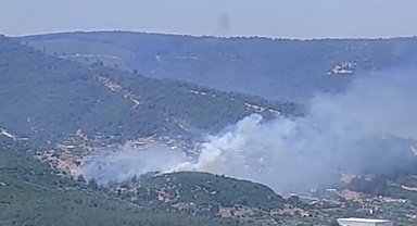 İzmir'de orman yangını