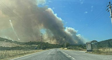 İzmir'de orman yangını