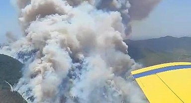 İzmir'de orman yangını