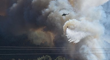 İzmir'de orman yangını
