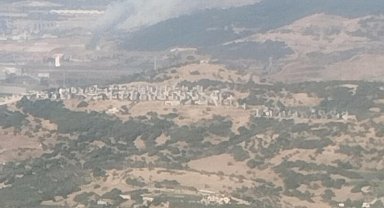 İzmir'de sanayide çıkan yangın ormana sıçradı