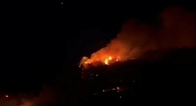 İzmir'de sanayide çıkan yangın ormana sıçradı