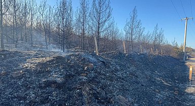 İzmir'de yangın; 19 saattir devam ediyor