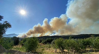 İzmir'deki orman yangını 2'nci gününde