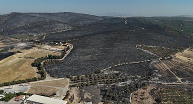 İzmir'deki orman yangınında 2'nci gün