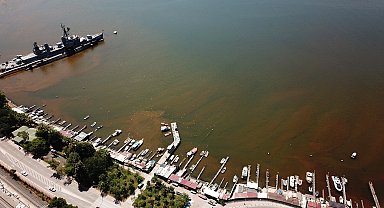 İzmit Körfezi'nde denizin rengi kahverengiye döndü