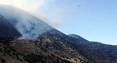 Kahramanmaraş'ta 2 ayrı orman yangın