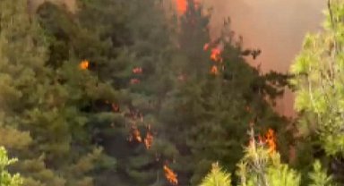 Kahramanmaraş'taki orman yangını 33 saatte söndürüldü