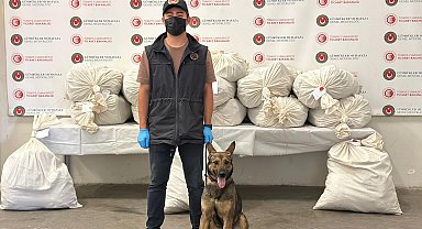 Kapıkule'de 2 TIR'da toplam 212 kilo esrar ele geçirildi