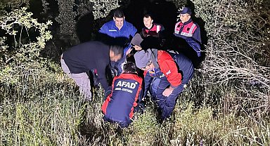 Kaybolan zihinsel engelli kadın, ormanda bulundu