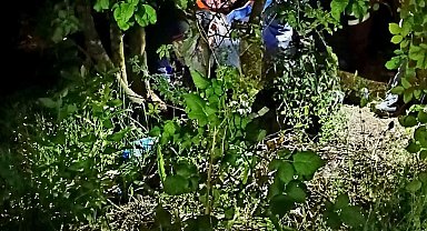 Kayıp olarak aranıyordu, ormanda cansız bedeni bulundu