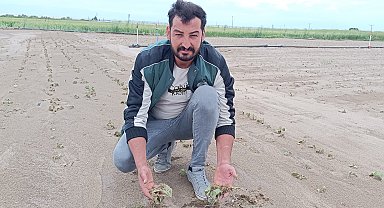 Kayseri'de sağanak ve dolu nedeniyle tarım arazileri zarar gördü