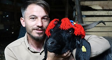 Keçi inadı, Şanslı'yı hayatta tuttu; kurbanlığını kesmeye kıyamadı