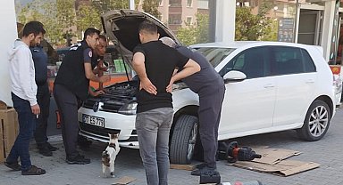 Kedi, otomobilin motor kısmında mahsur kalan 4 yavrusunun kurtarılmasını bekledi