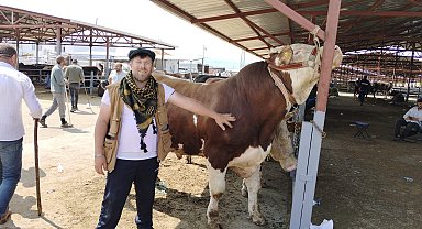 Kırşehir'de kurban pazarının en büyüğü 1 tonluk 'Paşa', 230 bin TL'den satıldı