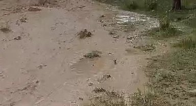 Kırşehir'de sağanak sele neden oldu; tarım arazileri zarar gördü