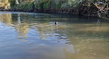 Kızılırmak'a girip boğuldu