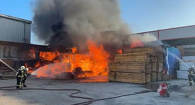 Kocaeli'de kereste deposundaki yangın söndürüldü