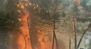 Kocaeli'de yangın; 4 kişi dumandan etkilendi