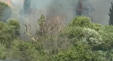 Kocaeli'de yol kenarında çıkıp ormana sıçrayan yangın, 2 saatte söndürüldü