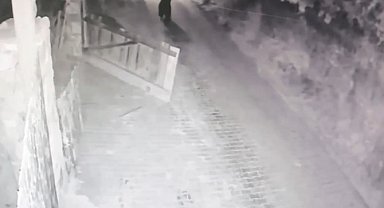 Köye inip bahçe kapısını açan boz ayı kamerada