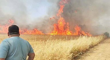 Manisa'da buğday tarlasında yangın
