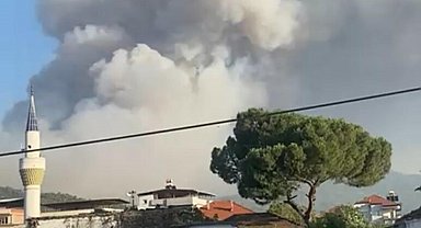 Manisa'da çöplük yangını ormana sıçradı