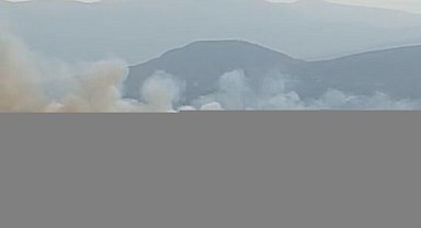 Manisa'da orman yangını