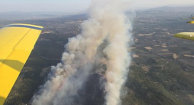 Manisa'da orman yangını