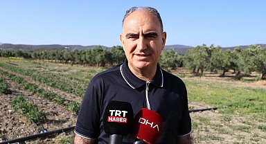 Manisa'da orman yangını