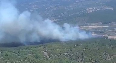 Manisa'da orman yangını