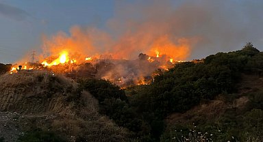 Manisa'da tarım arazisinde çıkan yangın ormanı da yaktı