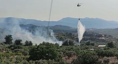 Manisa'da tarım arazisindeki yangın, ormanı da yaktı