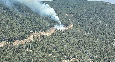 Manisa'daki orman yangını 4 saatte söndürüldü