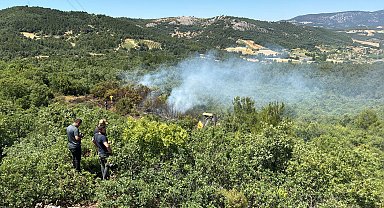Manisa'daki orman yangınına 30 dakikalık müdahale