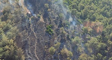 Manisa'daki yangınlarda 2 hektar orman zarar gördü