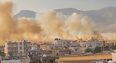 Mardin'de 350 dönüm buğday ekili alan yandı