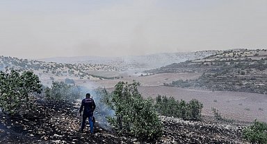 Mardin'de orman yangını