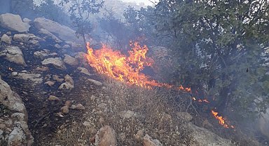 Mardin'de örtü yangını