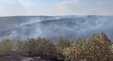 Mardin'de örtü yangını