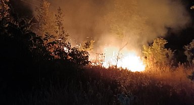 Mersin'de orman yangını