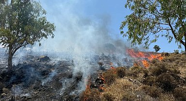 Muğla'da maki yangını