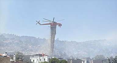 Muğla'da maki yangını