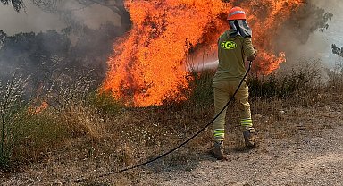 Muğla'da yangın; 2 hektar orman zarar gördü