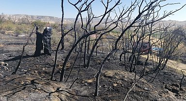 Nevşehir'de ağaçlık alanda çıkan yangın söndürüldü