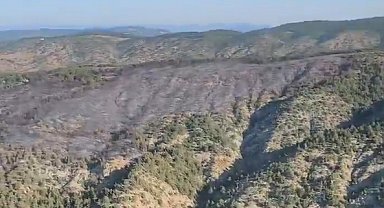 OGM: Bilecik'te orman yangını kontrol altına alındı