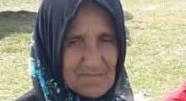 Ordu'da, hafriyat kamyonunun çarptığı yaya öldü